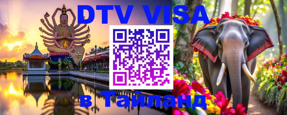 Сколько стоит DTV виза — актуальные цены, оформление даже без документов - Махачкала  03.10.2025 
